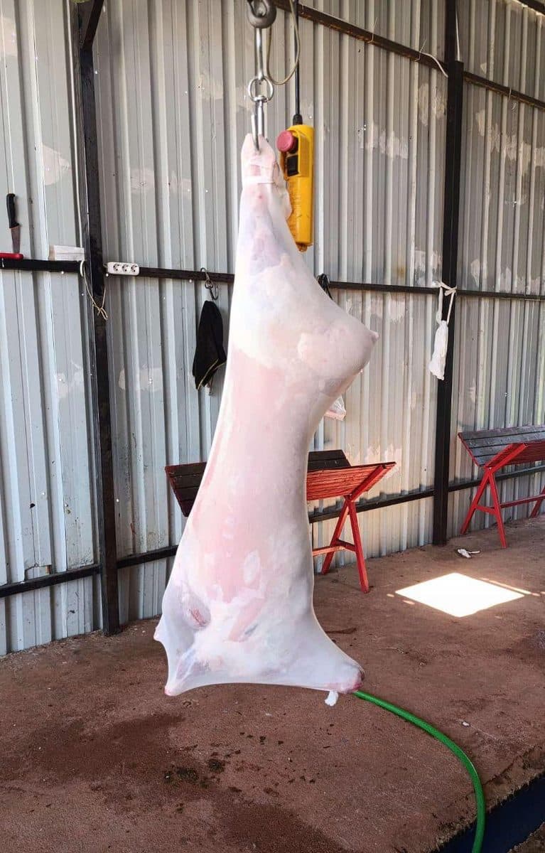 Heavy-duty cotton-polyester blend beef carcass stockinette in factory setting