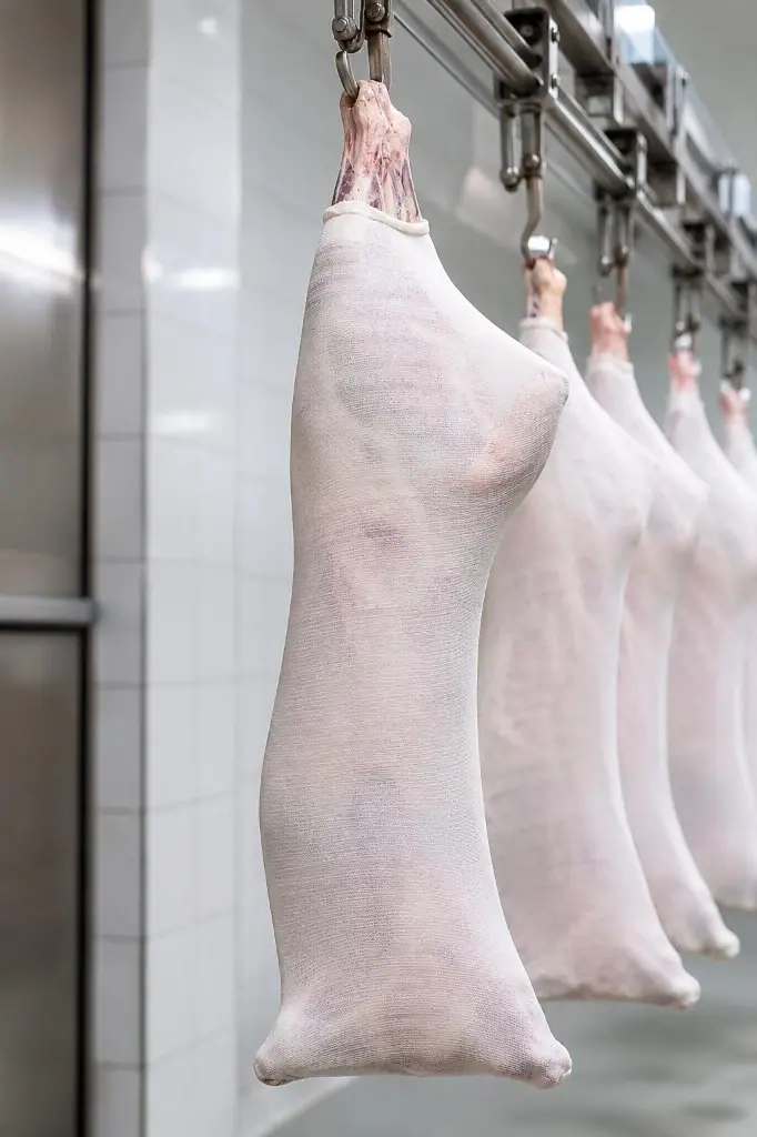 Lamb carcasses wrapped in white cotton stockinette hanging in a chiller